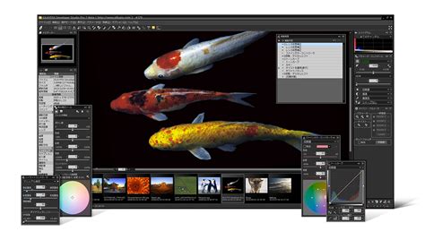 SILKYPIX Developer Studio Pro